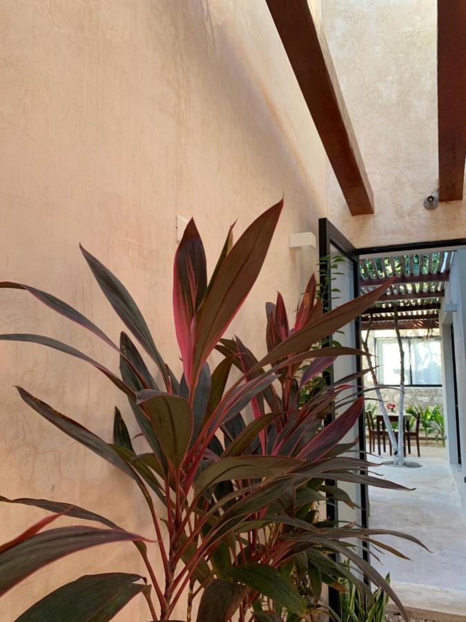 Pina Coloradas Ecolodge Yuluc 外观 照片